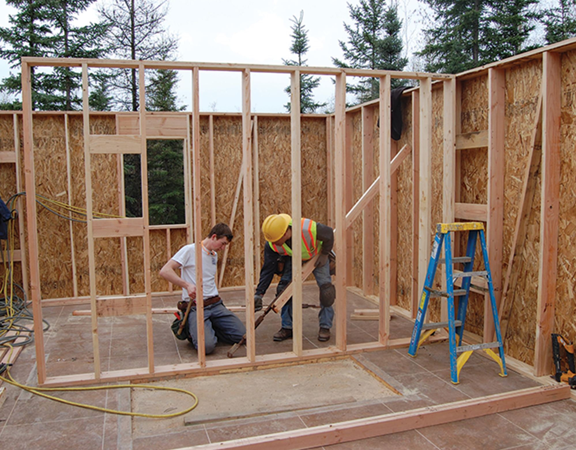 Carpenter - Woodwork contractor